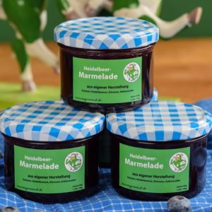 Fruchtaufstrich Heidelbeere